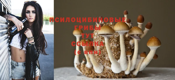 ГАЛЛЮЦИНОГЕННЫЕ ГРИБЫ Усолье-Сибирское