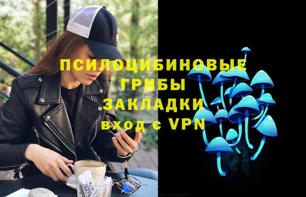 ГАЛЛЮЦИНОГЕННЫЕ ГРИБЫ Усолье-Сибирское
