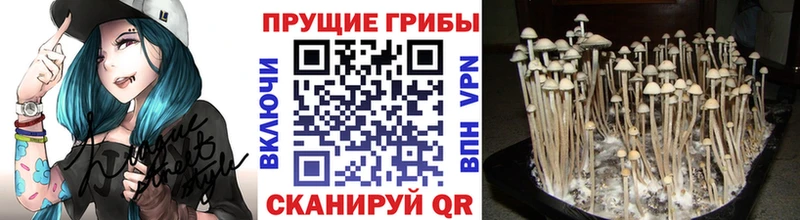 Галлюциногенные грибы мухоморы Набережные Челны