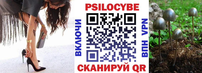 где найти   Набережные Челны  Псилоцибиновые грибы мицелий 