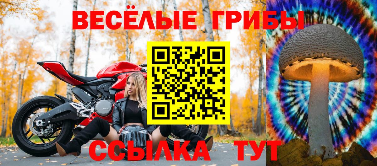 Набережные Челны  Галлюциногенные грибы мицелий  Вход с VPN 