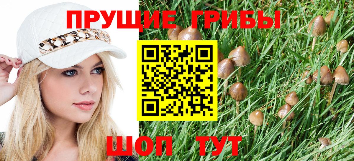 Галлюциногенные грибы Psilocybe Набережные Челны